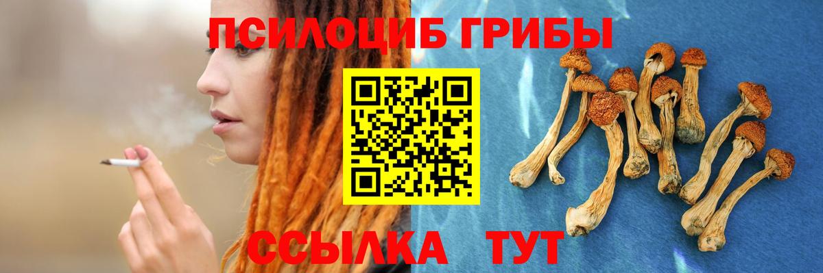 Севастополь  Галлюциногенные грибы Psilocybine cubensis  Вход с VPN  Галлюциногенные грибы ЛСД 